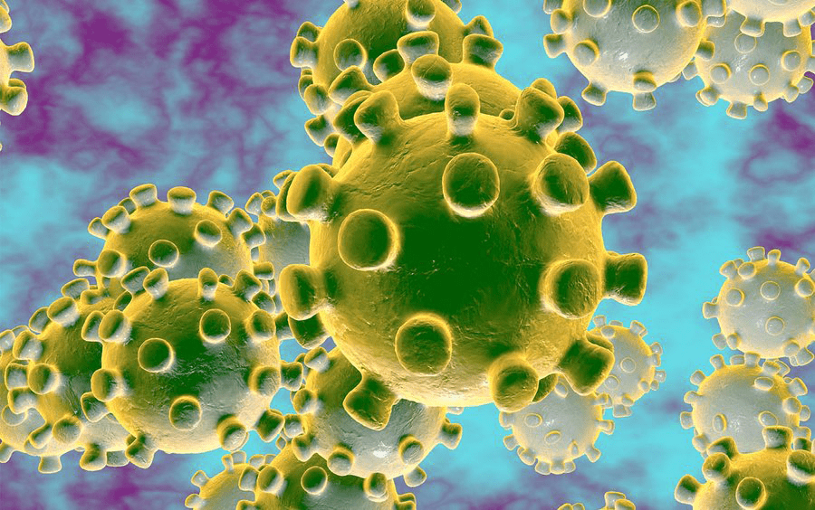 Afbeeldingsresultaat voor coronavirus